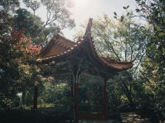 园林景观设计中的障景设计